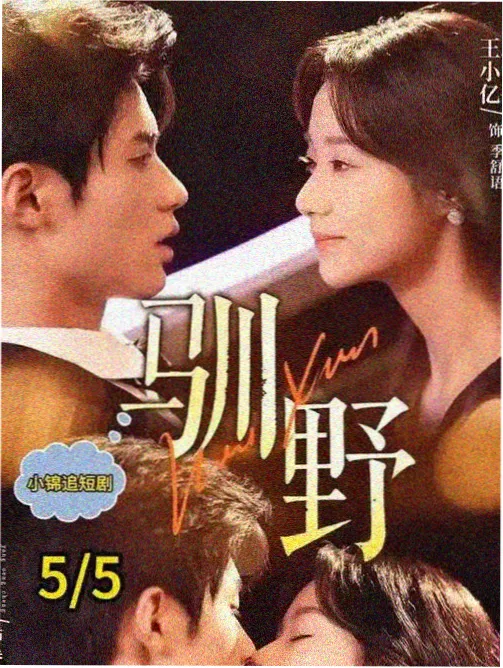 真人短视频创作者扶持计划